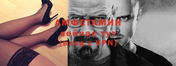 индика Семёнов