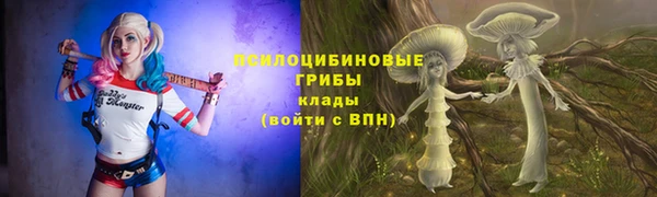 ГАЛЛЮЦИНОГЕННЫЕ ГРИБЫ Семикаракорск