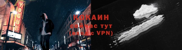 индика Семёнов