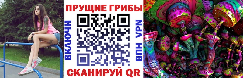 как найти наркотики  Муром  кракен как зайти  Галлюциногенные грибы прущие грибы 