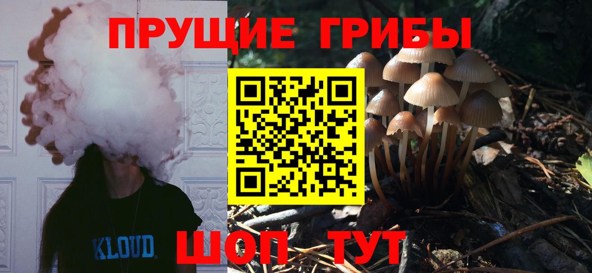 Псилоцибиновые грибы Cubensis  Вход с VPN  Галлюциногенные грибы GOLDEN TEACHER  Муром 